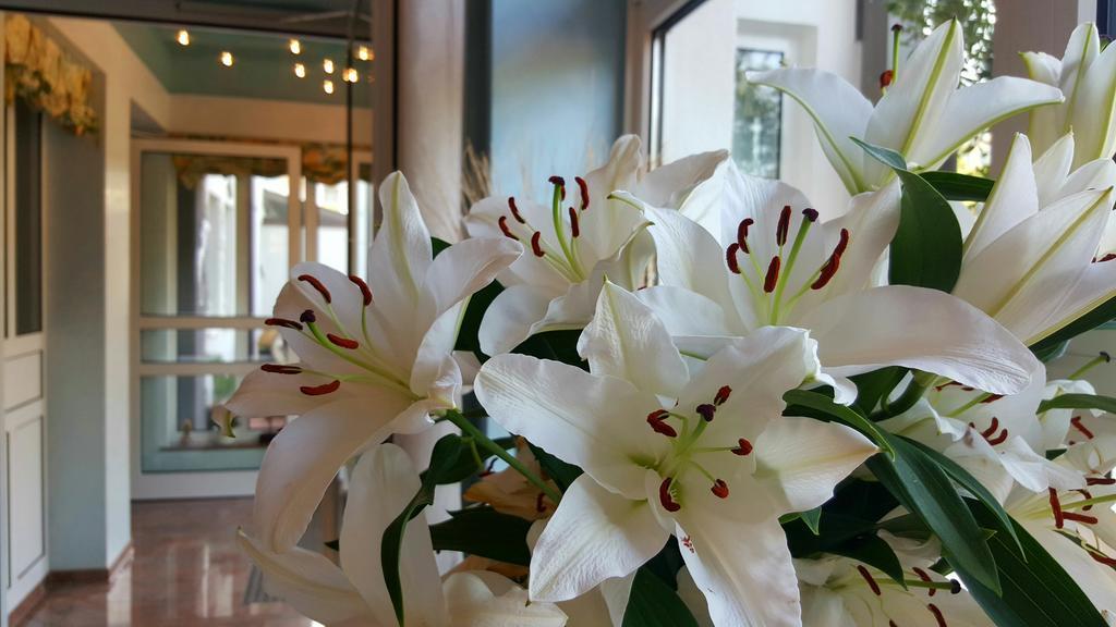 Hotel In Den Herrnwiesen เวิร์ทไฮม์ ภายนอก รูปภาพ